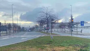 Paseo inesperado en Pamplona: una garza camina junto al tr&aacute;fico y genera sorpresa en plena ciudad
