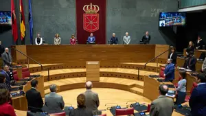 El pleno del Parlamento de Navarra se suma al luto por el tr&aacute;gico accidente ferroviario en C&oacute;rdoba