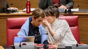 Sayas carga contra Chivite por los efectos de su pol&iacute;tica de vivienda: "Machaca a los j&oacute;venes"