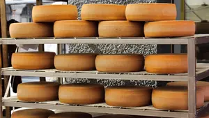 La Guardia Civil interviene 325 quesos en Navarra tras parar un cami&oacute;n en un control rutinario