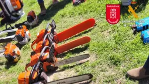 Cae una banda que asaltaba casetas de campo de pueblos de Navarra: operaci&oacute;n conjunta de Polic&iacute;a Foral y Guardia Civil