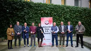 Los 9 mejores vinos de Navarra para 2026: la selecci&oacute;n oficial de la D.O. para no fallar nunca