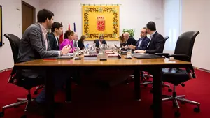 Bildu vuelve a frustrar una declaraci&oacute;n institucional del Parlamento de Navarra en contra del terrorismo