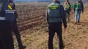Guardia Civil activa inspecciones en explotaciones agr&iacute;colas de Navarra para frenar abusos laborales