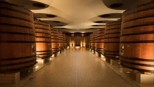 La escapada de Semana Santa en Olite que mezcla vino, aromas e historia en una bodega con mucho encanto