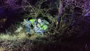 Muere en All&iacute;n un conductor de Pamplona tras una salida de v&iacute;a con despe&ntilde;amiento