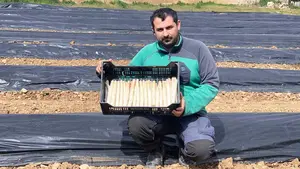 El agricultor de Navarra que arrasa con su esp&aacute;rrago fresco: &ldquo;La calidad este a&ntilde;o es extraordinaria&rdquo;