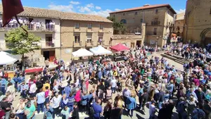 La fiesta del vino rosado que vuelve a llenar de ambiente uno de los pueblos con m&aacute;s encanto de Navarra