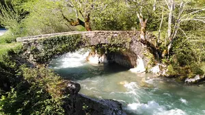 La ruta por un bosque de Navarra que lleva a una cascada, una cueva y antiguos puentes de piedra