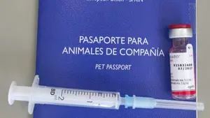 Investigan en Pamplona a dos cl&iacute;nicas veterinarias por pr&aacute;cticas que podr&iacute;an poner en riesgo a mascotas