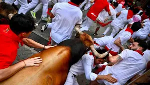 Los toros de La Palmosilla la l&iacute;an en el &uacute;ltimo tramo del sexto encierro de San Ferm&iacute;n: ca&iacute;das y un mont&oacute;n en el callej&oacute;n