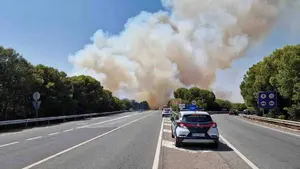 Investigan c&oacute;mo ha podido iniciarse el incendio que ha complicado el tr&aacute;fico en la autopista AP-68 en Tudela