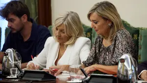 Ibarrola retrata el pacto de la moci&oacute;n en Pamplona: "Cerd&aacute;n necesitaba a Asiron para mantener su poder"