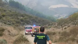 Alarma por un incendio en Navarra que ha arrasado cinco hect&aacute;reas: investigan si alguien provoc&oacute; las llamas