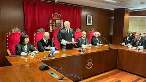 La seria advertencia del presidente del TSJN sobre los juzgados de Navarra: "Superan ampliamente la carga"