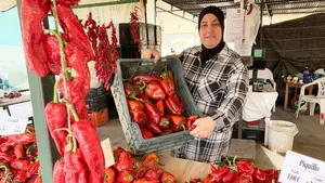 F&aacute;tima se estrena en su puesto de pimientos al aire libre en Puente la Reina: "Vendemos 300 kilos al d&iacute;a"