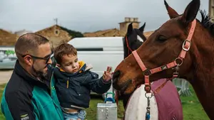 El plan perfecto para este fin de semana en Navarra: tres d&iacute;as de feria con gigantes, ganado, artesan&iacute;a y gastronom&iacute;a