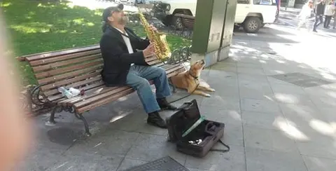 Perro, saxo, política