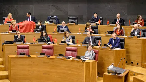 Pleno del Palrmento de Navarra que vota la derogación de la ley de símbolos y la imposición de la ikurriña. PABLO LASAOSA (3)