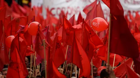Manifestación en defensa de la bandera de Navarra. PABLO LASAOSA 09