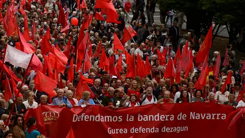 Manifestación en defensa de la bandera de Navarra. PABLO LASAOSA 15