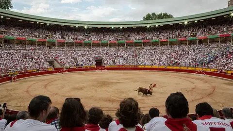 Toros 11 de JULIO San Fermin  2016  MAITE H.MATEO44