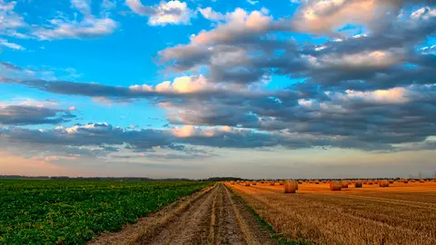 Unos campos de cultivo
