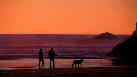 Dos personas caminan junto a su perro por la orilla de una playa.