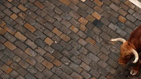 Revellers sprint in front of a bull during the first running of the bulls at the San Fermin festival in Pamplona, Spain, July 7, 2019. REUTERS/Susana Vera - RC120E035E00