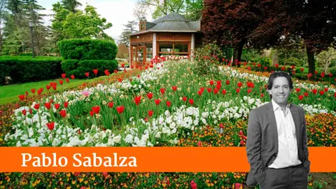 Caf&eacute; Vien&eacute;s en la Taconera.