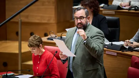 Javier Rem&iacute;rez, vicepresidente del Gobierno de Navarra, interviene en el Pleno del Parlamento. PABLO LASAOSA