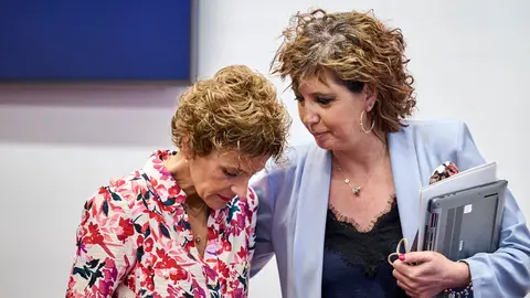 Comparecencia para que la presidenta del Gobierno de Navarra, Mar&iacute;a Chivite y el consejero de Salud, Fern&aacute;ndo Dom&iacute;nguez informen sobre la situaci&oacute;n que atraviesa la sanidad navarra. PABLO LASAOSA