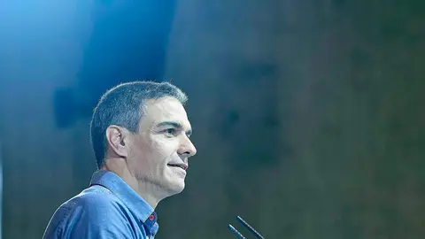 El secretario general del PSOE y presidente del Gobierno, Pedro S&aacute;nchez. / Europa Press