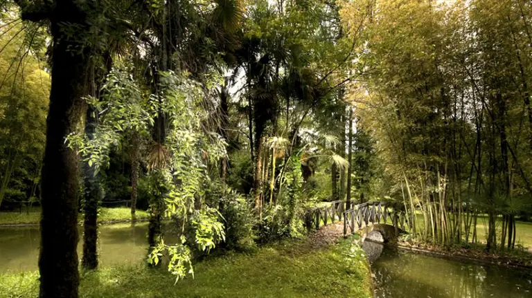 Puente en el Parque Natural de Bertiz. /PARQUE DE BERTIZ