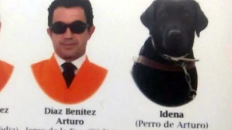 Perro universitario