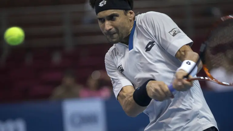 El tenista español David Ferrer. EFE.