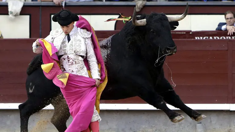 GRA250. MADRID, 03/10/2015.- El torero Gonzalo Caballero en su turno de quites, hoy en la tercera corrida de la Feria de Otoño de Las Ventas, compartiendo cartel con Uceda Leal y Eugenio de Mora, frente a reses de Vellosino. EFE/Zipi