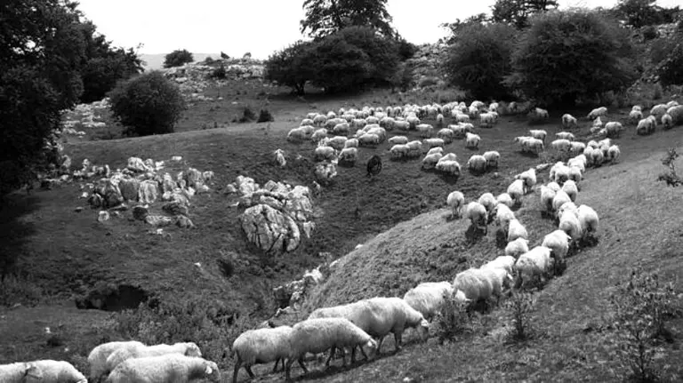 El Ayuntamiento organiza este sábado una visita al centro de interpretación del pastoreo. SAKANA