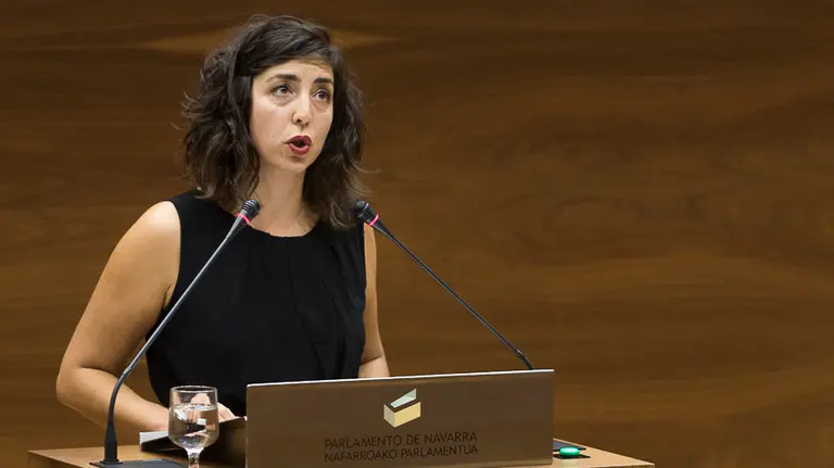 Parlamentarios de UPN, PP, PSN-PSOE, Geroa Bai, EH Bildu, Podemos, Izquierda Ezkerra durante un pleno en el Parlamento de Navarra