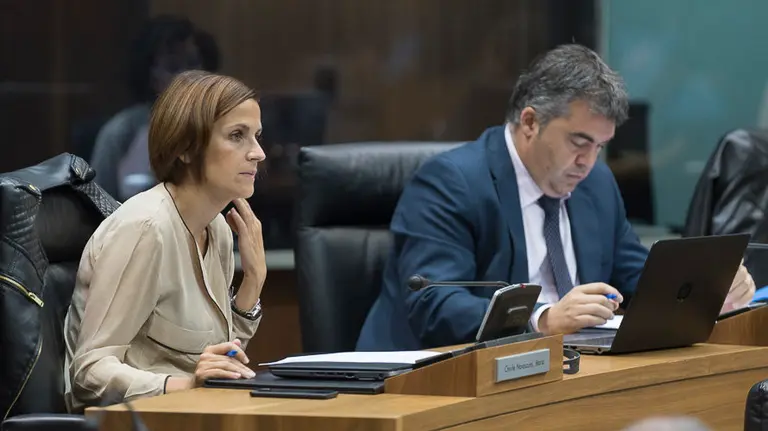 Parlamentarios de UPN, PP, PSN-PSOE, Geroa Bai, EH Bildu, Podemos, Izquierda Ezkerra durante un pleno en el Parlamento de Navarra