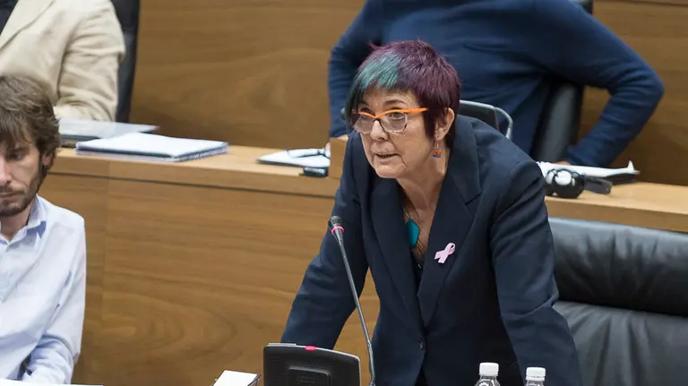 Parlamentarios de UPN, PP, PSN-PSOE, Geroa Bai, EH Bildu, Podemos, Izquierda Ezkerra durante un pleno en el Parlamento de Navarra