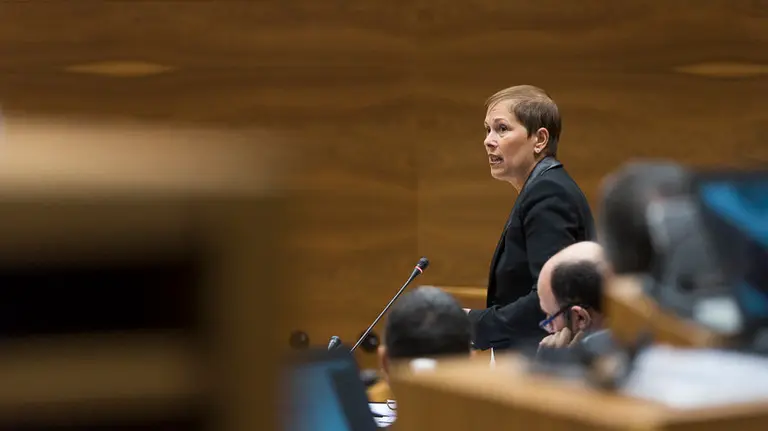 Parlamentarios de UPN, PP, PSN-PSOE, Geroa Bai, EH Bildu, Podemos, Izquierda Ezkerra durante un pleno en el Parlamento de Navarra