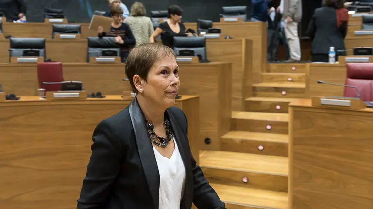 Parlamentarios de UPN, PP, PSN-PSOE, Geroa Bai, EH Bildu, Podemos, Izquierda Ezkerra durante un pleno en el Parlamento de Navarra