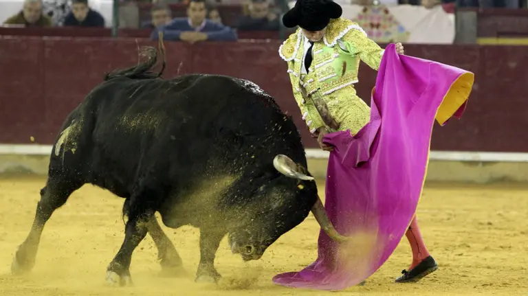 Juan del Álamo durante su faena en Zaragoza.
