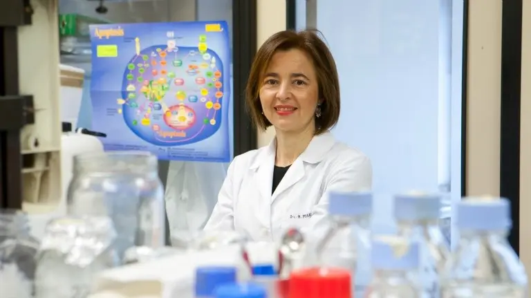 Amelia Mart&iacute;, Universidad de Navarra.