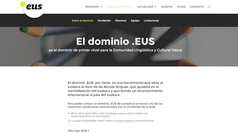 dominio.eus