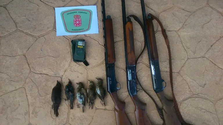 Reclamo electr&oacute;nico, escopetas y aves abatidas por los cazadores denunciados.