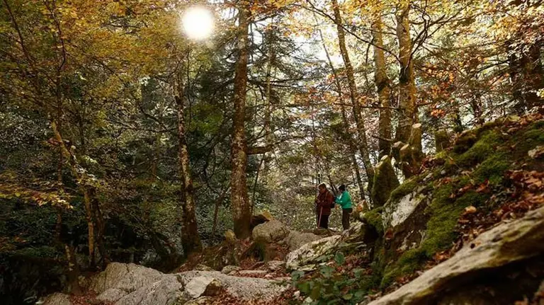 otoño-Navarra-EFE-Jesús-Diges