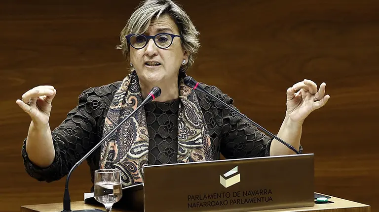 La portavoz de Izquierda-Ezkerra Marisa de Simón, durante su intervención hoy en el pleno del Parlamento donde, entre otros asuntos, se pregunta al Gobierno sobre la política general en materia de recuperación para el sector público de los sectores privatizados dependientes de la Administración. EFE/Jesús Diges