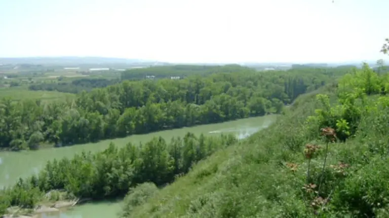 Río Aragón a su paso por Milagro.